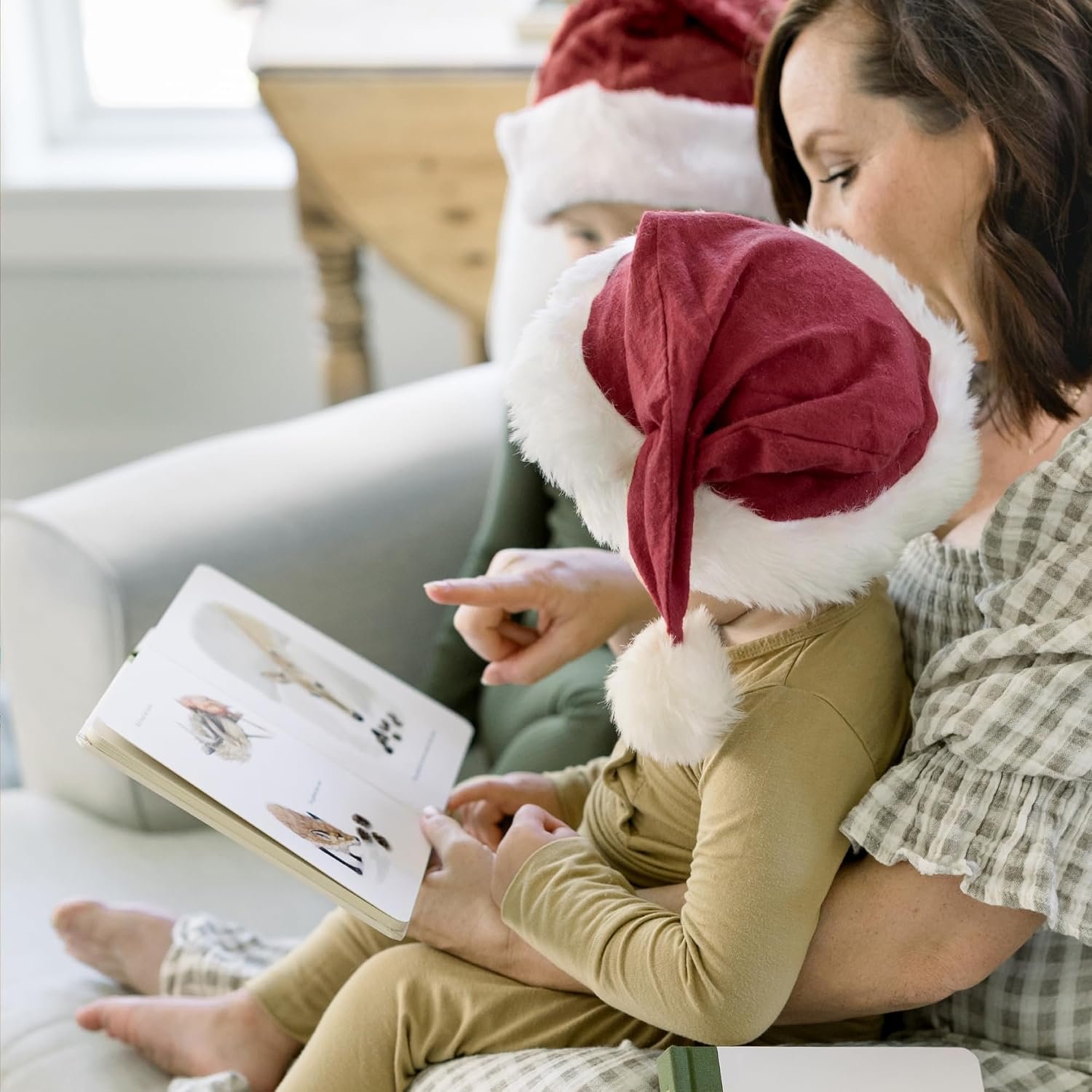 Adventure at Christmas Book